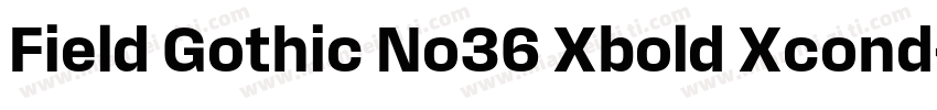 Field Gothic No36 Xbold Xcond字体转换